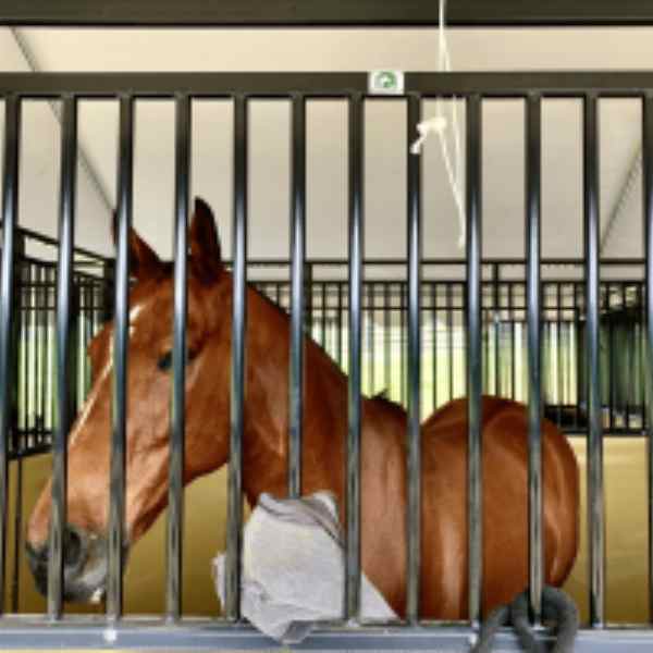 Stalls